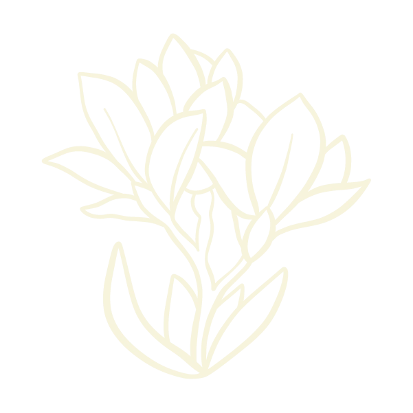 姵瑄越式洗髮-新竹越式洗髮-新竹美甲-新竹熱蠟除毛_features_03